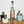 Load image into Gallery viewer, Bonete Costa - Raicilla