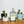 Cargar imagen en el visor de la galería, Estancia 45% Raicilla - 750 ml