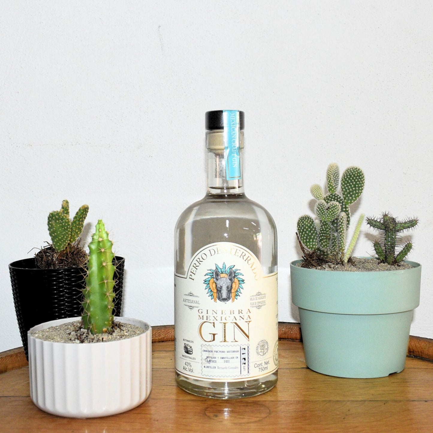 Ginebra Mexicana Perro Desterrado
