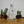 Load image into Gallery viewer, La Venenosa Tabernas III Raicilla 200 ml