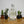 Load image into Gallery viewer, La Venenosa Tabernas III Raicilla 200 ml
