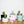 Cargar imagen en el visor de la galería, Rey Campero Tepeztate Mezcal - 250 ml