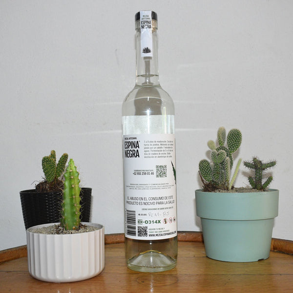 Mezcal Espina Negra