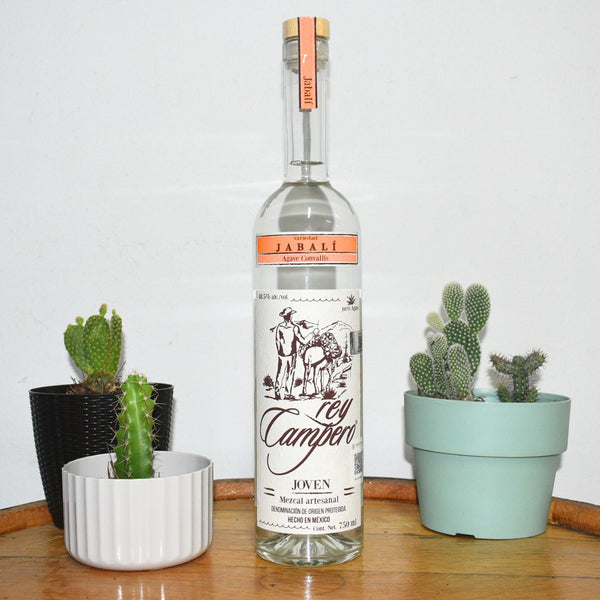 Rey Campero Jabalí Mezcal - 750 ml