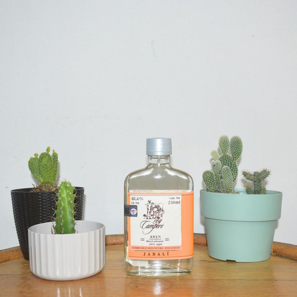 Rey Campero Jabalí Mezcal - 250 ml