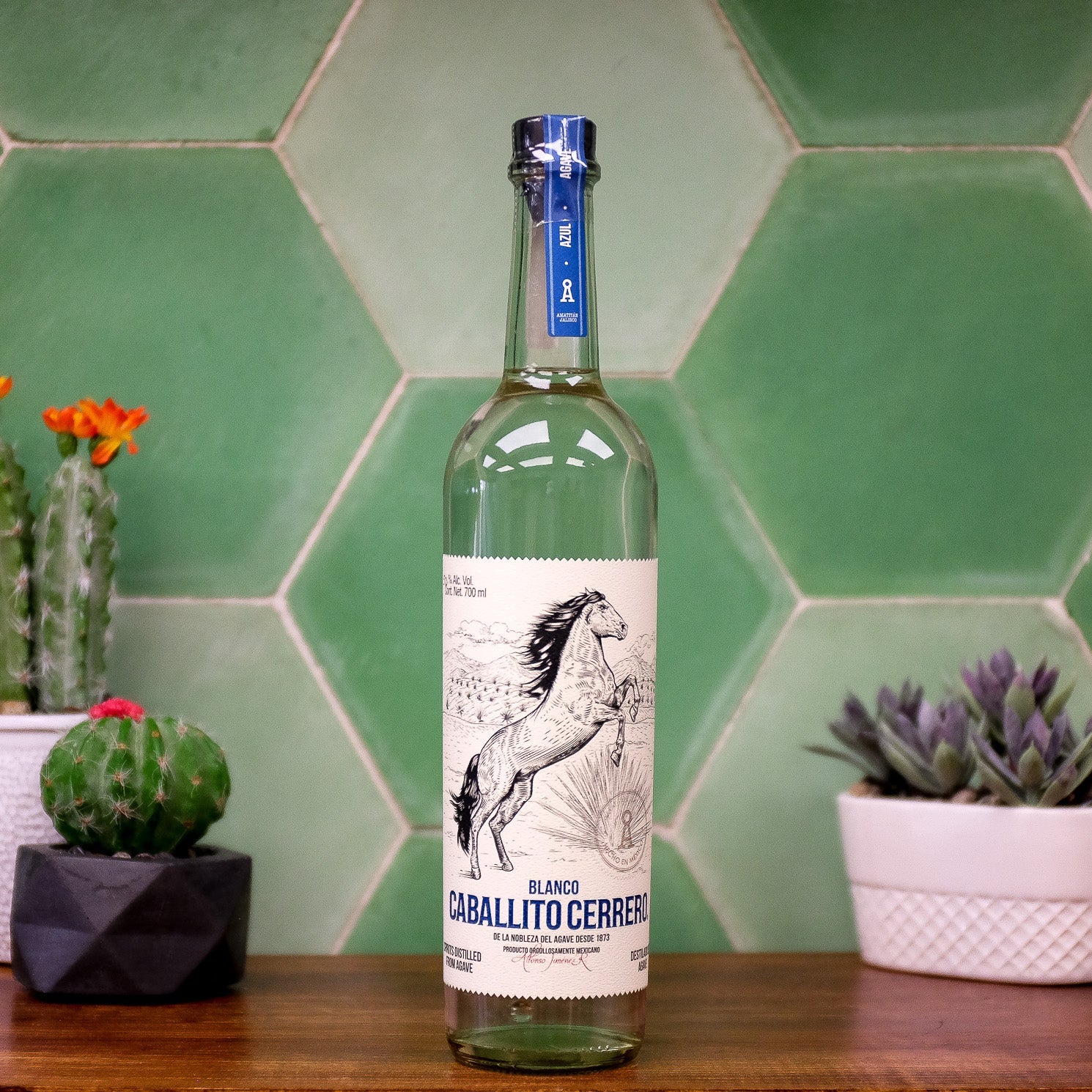Caballito Cerrero Agave Azul Blanco - 700ml - 50% alc./vol.