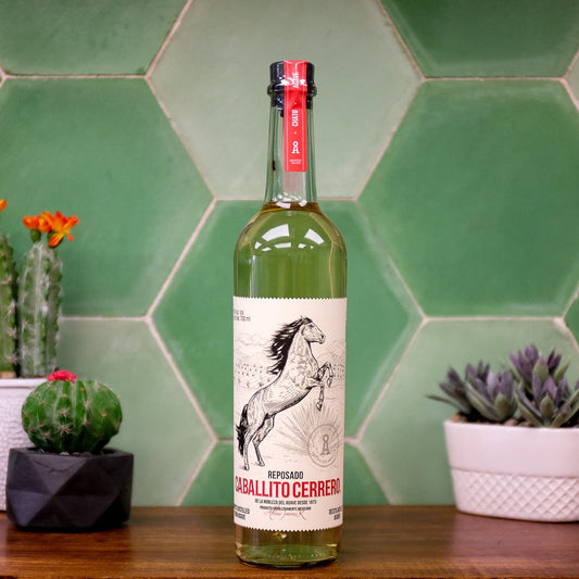 Caballito Cerrero Agave Chato Reposado - 700ml - 40% alc./vol.